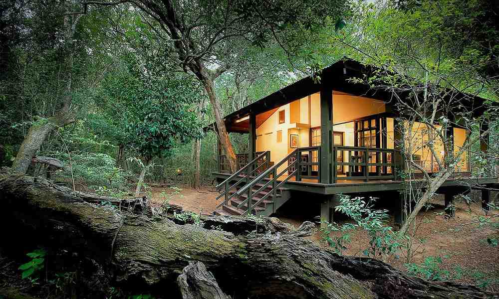&Beyond Phinda Forest Lodge