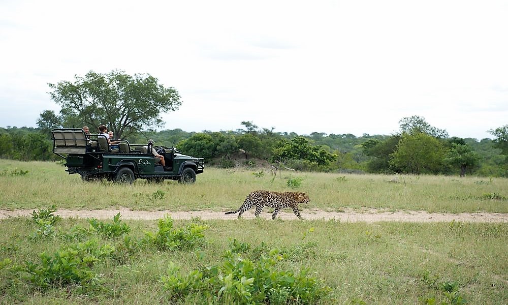 Singita Sabi Sands